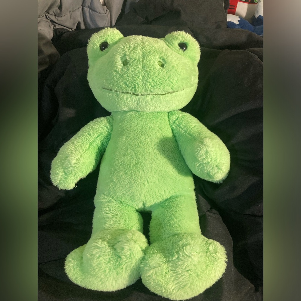 LIKE NEW BUILD A BEAR FROG MEDIUM